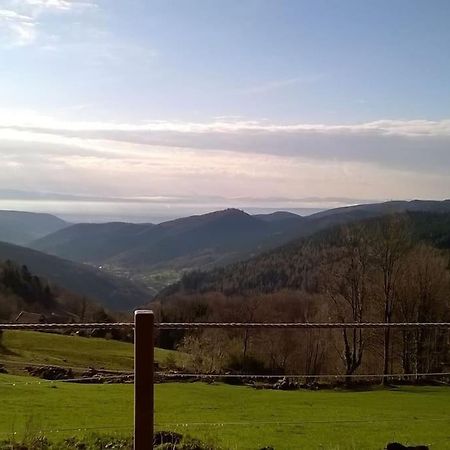 Un Coin De Montagne Apartment Linthal Bagian luar foto