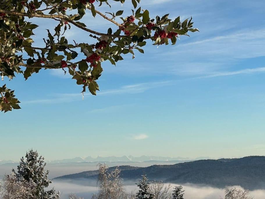 Un Coin De Montagne Apartment Linthal Bagian luar foto