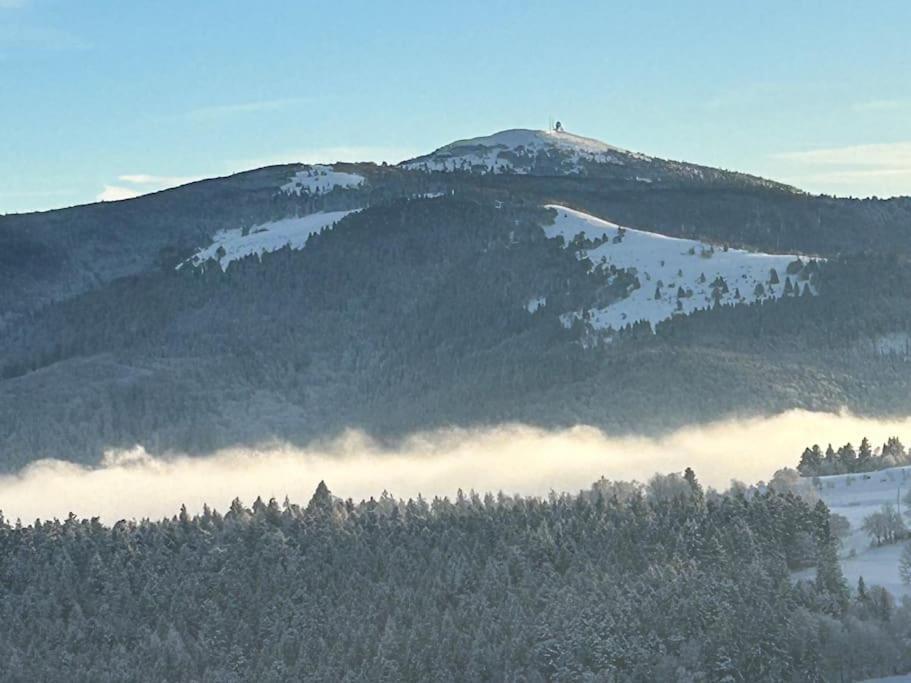 Un Coin De Montagne Apartment Linthal Bagian luar foto