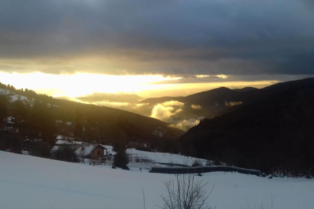 Un Coin De Montagne Apartment Linthal Bagian luar foto