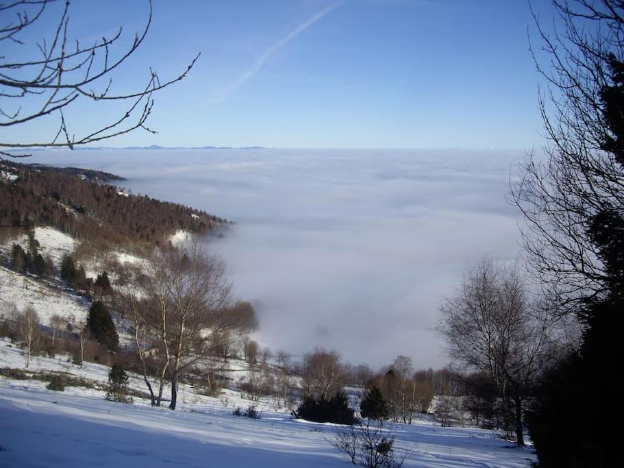 Un Coin De Montagne Apartment Linthal Bagian luar foto