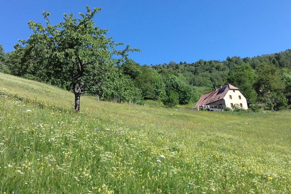 Un Coin De Montagne Apartment Linthal Bagian luar foto